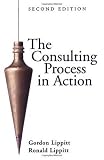 The Consulting Process in Action