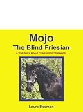 Mojo: The Blind Friesian