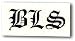 Zakk Wylde Black Label Society BLS CAR WINDOW Rub On Sticker Decal