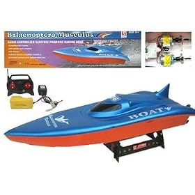 Remote Control Racing Boat Remote Control Ready To Run by Remote Controlled