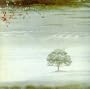 Wind & Wuthering
