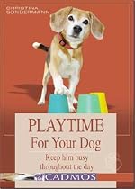 Playtime for Your Dog: Keep Him Busy Throughout the Day