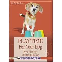 Playtime for Your Dog: Keep Him Busy Throughout the Day