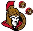 Ottawa Senators Removable Logo - 24x24"
