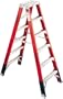 Werner T7410 375-Pound Duty Rating Fiberglass Multi-Use Twin Ladder, 10-Foot