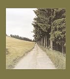 Bernhard Fuchs - Stra&szlig;en und Wege - 