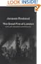 The Great Fire of London: A Story with Interpolations and Bifurcations