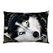 Siberian Husky Dog Pillow Case (2 Sides)