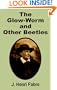 Glow-Worm and Other Beetles, The