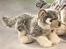 Stuffed Wolf
