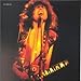 Solid Gold: The Best of T.Rex