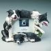 Dog Frame - Border Collie