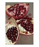 pomegranate Still Life Photographic Poster Print by Heather Connelly, 16x20