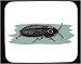 Mouse Pad with bug, insect, beetle, eyed, click Image