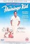 The Flamingo Kid