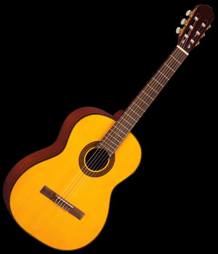 NEW TAKAMINE G SERIES ACOUSTIC GUITAR