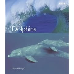 Dolphins