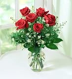 LOVE'S EMBRACE (TM) ROSES