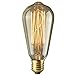 BrightechT- Ambience Pro Vintage Edition Outdoor Commercial String Lights with Nostalgic Edison Bulbs - 48 Feet String Light wit