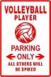 VOLLEYBALL PLAYER PARKING sign * st sport