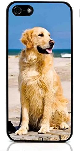 Golden Retriever Dog Hard Case for Apple iPhone 5/5S ( Sugar Skull )