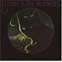 Bobby & the Midnites