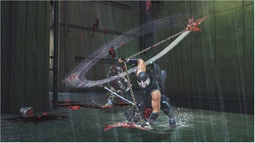 Ninja Gaiden II image