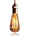 Nostalgic Edison Vintage Reproduction Dimmable Light Bulb ST64 40W (E26)
