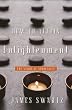 How to Attain Enlightenment: The Vision of Non-Duality (Spirituality Religious Experie)