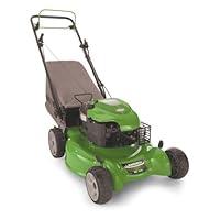 Lawn Boy 10642 20-Inch 6.75-Gross-Torque Gas-Powered Lawn Mower