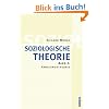 Soziologische Theorie. Bd. 2: Band 2: Handlungstheorie