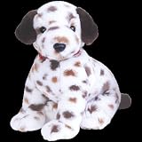 Review TY  / TY Bo the Dalmation Dog Beanie Buddy
