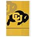 University of Colorado (Logo) NCAA Art Poster Print - 24x36