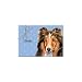 Shetland Sheepdog (Sheltie) Boxed 8 Notecards with Envelopes 3.5''x5''