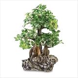EVERLASTING BONSAI ON ROCK