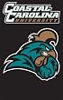 Coastal Carolina Chanticleers 44x28 Applique Banner Flag