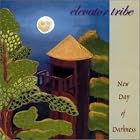 Click here to buy New Day Of Darkness by  Elevator Tribe .