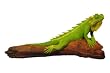 EXP Handmade Iguana Wood Carving with Custom Base (Thailand)