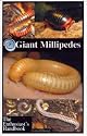 Giant Millipedes: The Enthusiast's Handbook