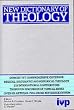 New Dictionary of theology