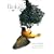 Biology: Life on Earth (6th Edition)