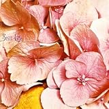 Still Life - Still Life