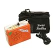 Shruti Box, Electronic