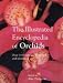 The Illustrated Encyclopedia of Orchids: Over 1100 Species Illustrated and Identified