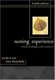 The Nursing Experience: Trends, Challenges, and Transitions