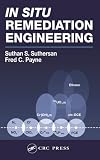 In Situ Remediation Engineering