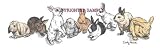 Rabbits - Drawing by Cindy Farmer