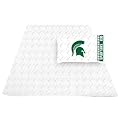 Michigan State Full Sheet Set
