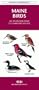 Maine Birds: An Introduction to Familiar Species (Pocket Naturalist)