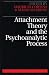 Attachment Theory and the Psychoanalytic Process